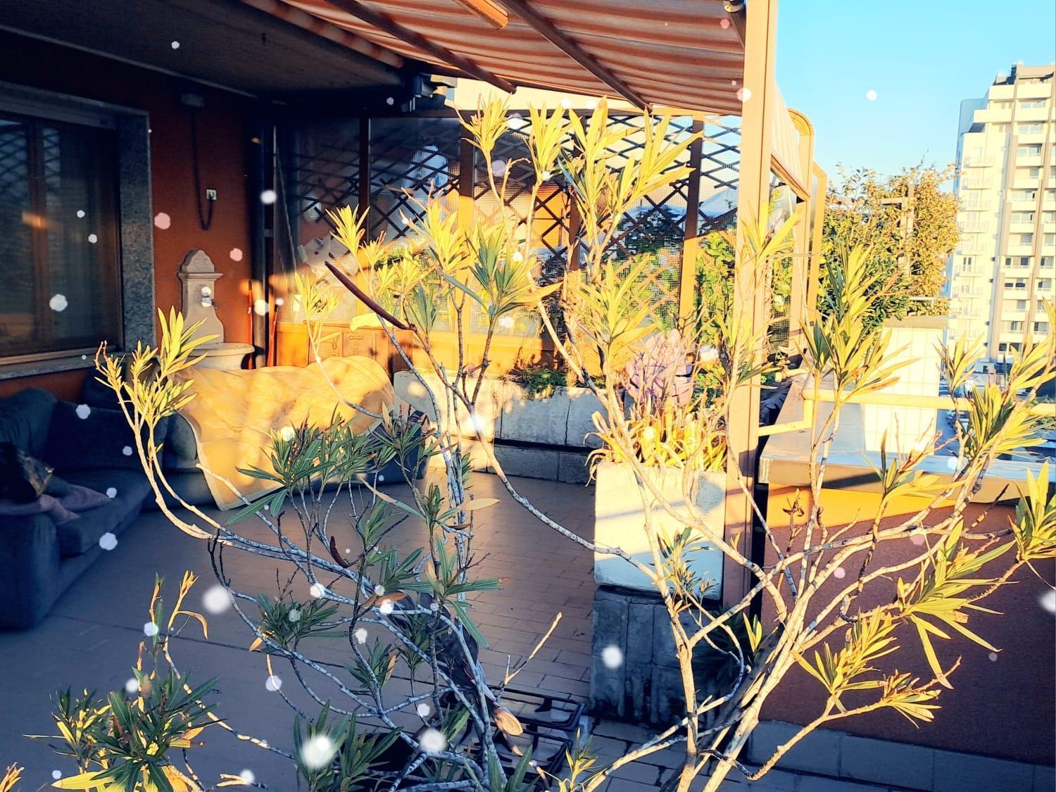 Meraviglioso Super Attico Con Terrazza Mailand Exterior foto
